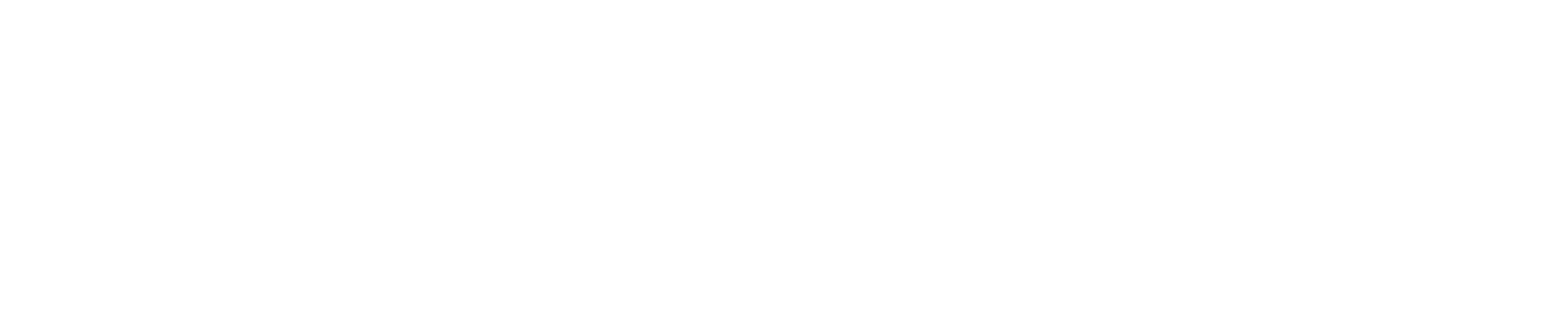 Sureserve Logo - White